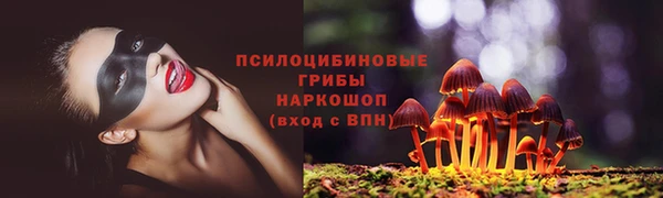 синтетический гашиш Богородск