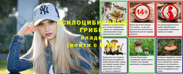 синтетический гашиш Богородск