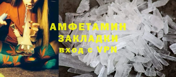 прущие грибы Балахна